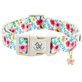 Elegant little tail dog collar pink floral pattern closeup, showcasing soft cotton comfort for daily walks.