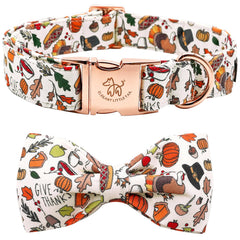 Elegant Little Tail dog collar with soft bow and turkey design for festive photos