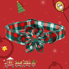 Elegant Little Tail collar close-up on double-stitched stress points for durability.