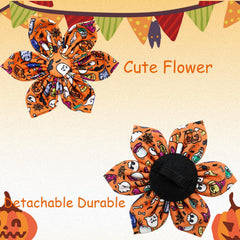 Elegant Little Tail pumpkin collar made of durable cotton and webbing