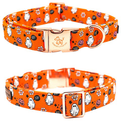 Elegant Little Tail Halloween dog collar flower decoration enhances cute moments during celebrations.