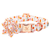 Elegant Little Tail Halloween dog collar pumpkin flower closeup showcases removable floral detail.
