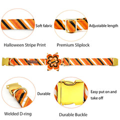 Elegant Little Tail removable flower decor on collar for easy styling and cleaning.