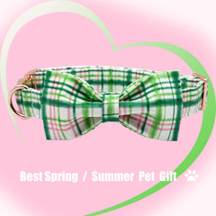 Elegant Little Tail durable collar with sturdy buckle for daily wear.