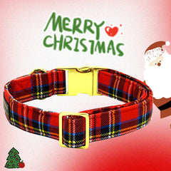 Elegant little tail red metal buckle collar on a small dog for secure fit