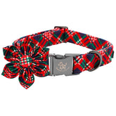 Elegant Little Tail red plaid collar with flowers adds festive look for holiday photos.