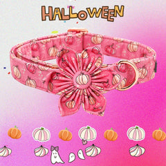 Elegant Little Tail removable flower fits most collars for quick outfit changes.