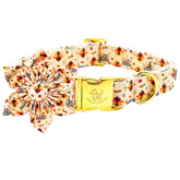 Elegant little tail turkey-print dog collar for festive Thanksgiving photos.
