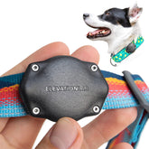 Elevation Lab TagVault AirTag dog collar mount front view shows secure, no-dangle attachment.