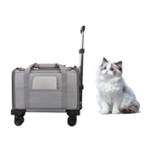 Elfpeth pet carrier with wheels foldable luggage for easy travel and storage.