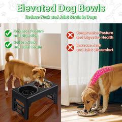 EliteField elevated dog bowls showing five adjustable heights for comfort and digestion