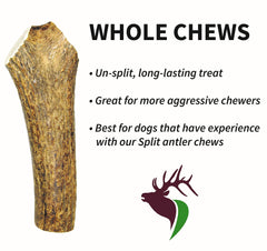 Elkhorn Premium Chews USA Sourced Elk Antler highlights premium USA origin