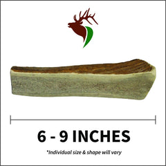 Elkhorn Premium Chews usa-sourced-elk-antler highlights natural material for wholesome chewing.