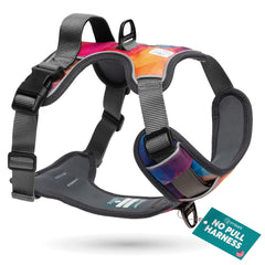 Embark Adventure Dog Harness front clip aids gentle no-pull training.