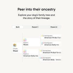 Embark Ancestry map shows breed mix traced to great-grandparents