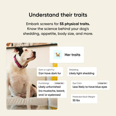Embark breed identification chart highlights breed mix accuracy