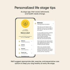 Embark DNA sample collection from dog using swab for aging insights