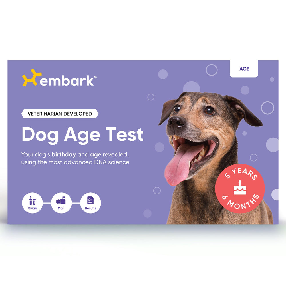 Embark Dog Age Test Kit front view for quick at-home setup and insights