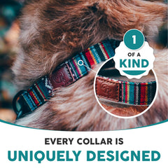 Embark Pets Adventure Dog Collar clip system close-up showing easy on-off for fast dressing.