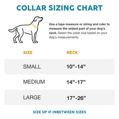 Embark Pets Adventure Dog Collar D-ring close-up highlighting rust-resistant hardware for long-lasting outings.