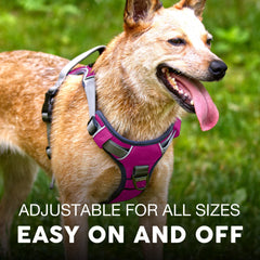Embark Pets Adventure Harness gel handle provides a comfortable grip for safer control