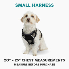 Embark Pets Adventure Harness back view highlights secure closure and leash connection.