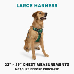 Embark Pets Adventure harness front clip demonstrates no-pull control during walks.