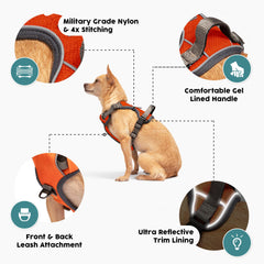 Embark Pets Gel handle closeup demonstrates comfortable grip during steady walking.
