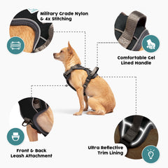 Embark Pets Adventure Harness reflective trim glows at night for safer strolls.