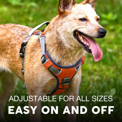 Embark Pets Reflective trim closeup emphasizes high visibility for safe nighttime strolls.