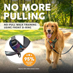 Embark Pets Adventure No-Pull Harness back clip for versatile leash options.