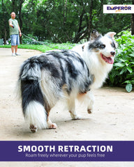 Emperor Pets reflective tape leash enhances visibility during night walks