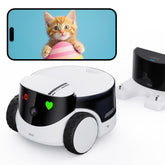 Enabot EBO ROLA PetPal camera in QHD for crisp pet monitoring and home security.