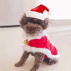 Enjoying capa roja navidad para gato, suave y cálida.