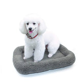 Enjoying Cat Mat Bed plush surface closeup for soft lounging and warmth