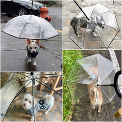 Enjoying-clear-dog-umbrella-material provides visibility for you and dog during walks.