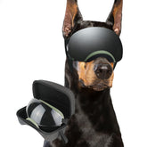 Enjoying dog goggles large breed with replaceable lenses offering versatile eye protection