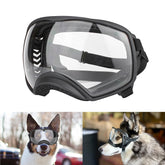 Enjoying Clear Dog Goggles with a soft TPU frame offer durable comfort on outdoor adventures.