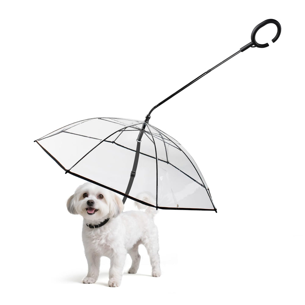 Enjoying dog umbrella closed for compact storage after a rain walk.