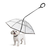 Enjoying dog umbrella closed for compact storage after a rain walk.