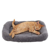 Enjoying cama para gato, superficie plush suave para descanso cómodo.