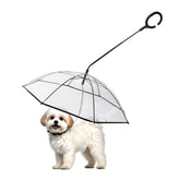 Enjoying small-dog-umbrella-coverage-walk keeps your pet dry and comfortable on rainy strolls.