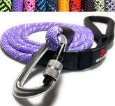 Enthusiast Gear locking carabiner leash closeup showing secure clip for safe walking.