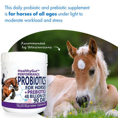 Equa Holistics HealthyGut Probiotics for horses supports hind gut health and digestion