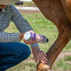 EQUIDERMA Pet Faves Wipes pack for gentle facial and leg cleaning