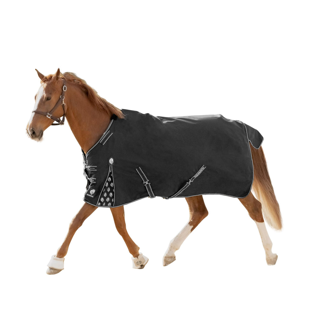 Equinavia Norse No Fill Rain Blanket waterproof shell protects horses in wet paddocks.