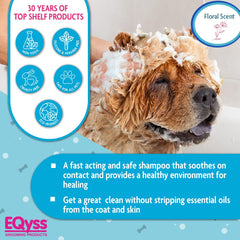 Applying Eqyss Micro-Tek shampoo to a dog to soothe hot spots.
