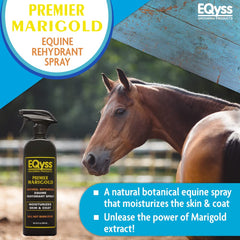 Eqyss Premier Marigold coat application adds shine and smoothness