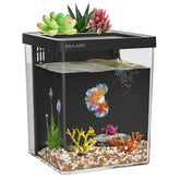 ERAARK 1.5-gallon Betta tank with LED light for a vibrant display