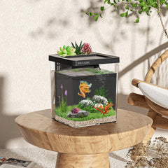 ERAARK Betta tank with self-cleaning filter for clearer water and easy maintenance